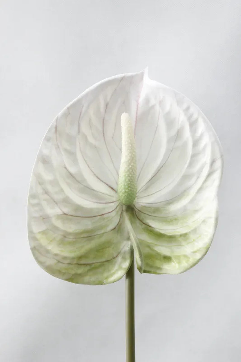 3D Printing Anthurium Branch Artificial Flowers for Home Wedding Table Decoration Plastic Fake Plants Fleur Artificielle