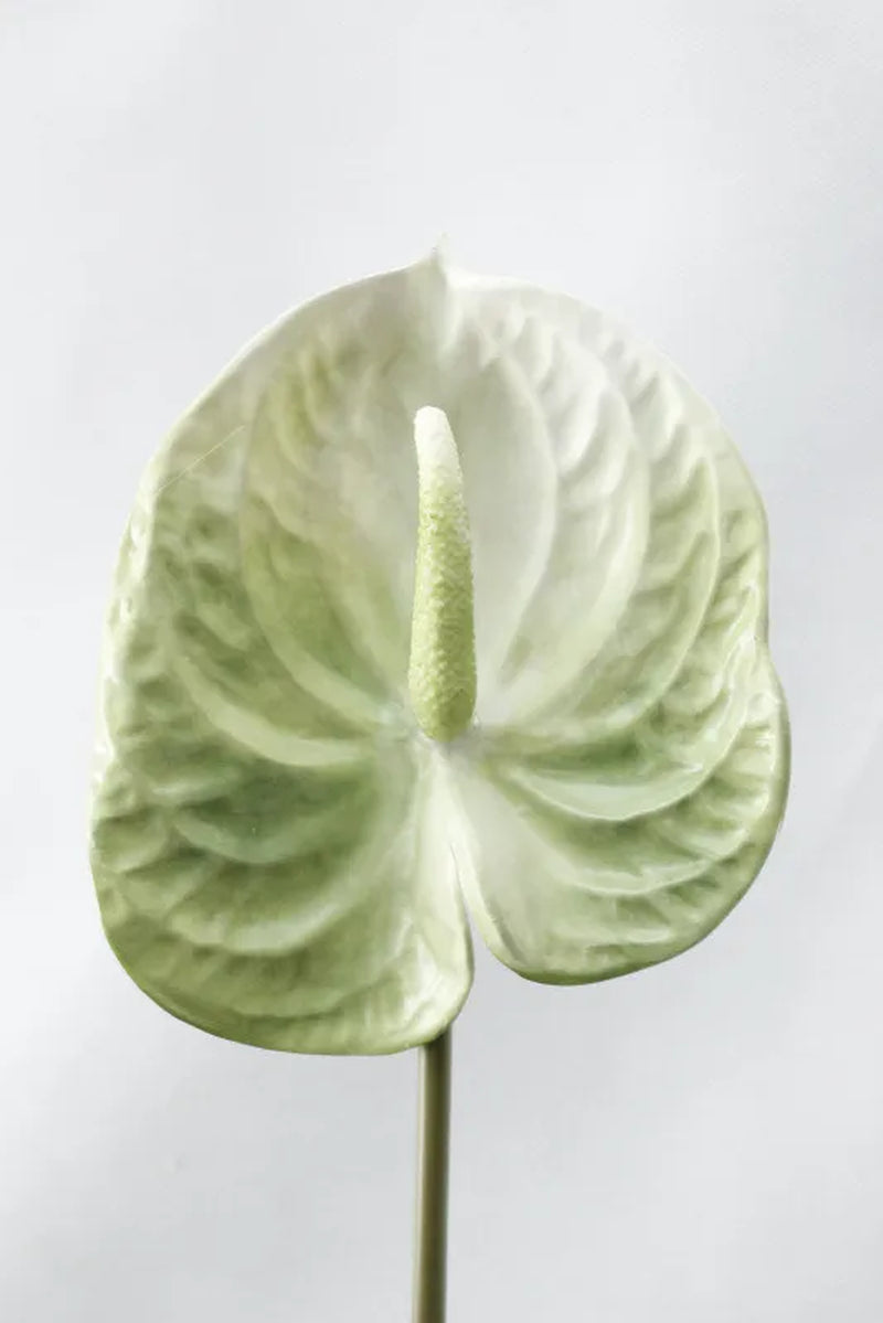 3D Printing Anthurium Branch Artificial Flowers for Home Wedding Table Decoration Plastic Fake Plants Fleur Artificielle